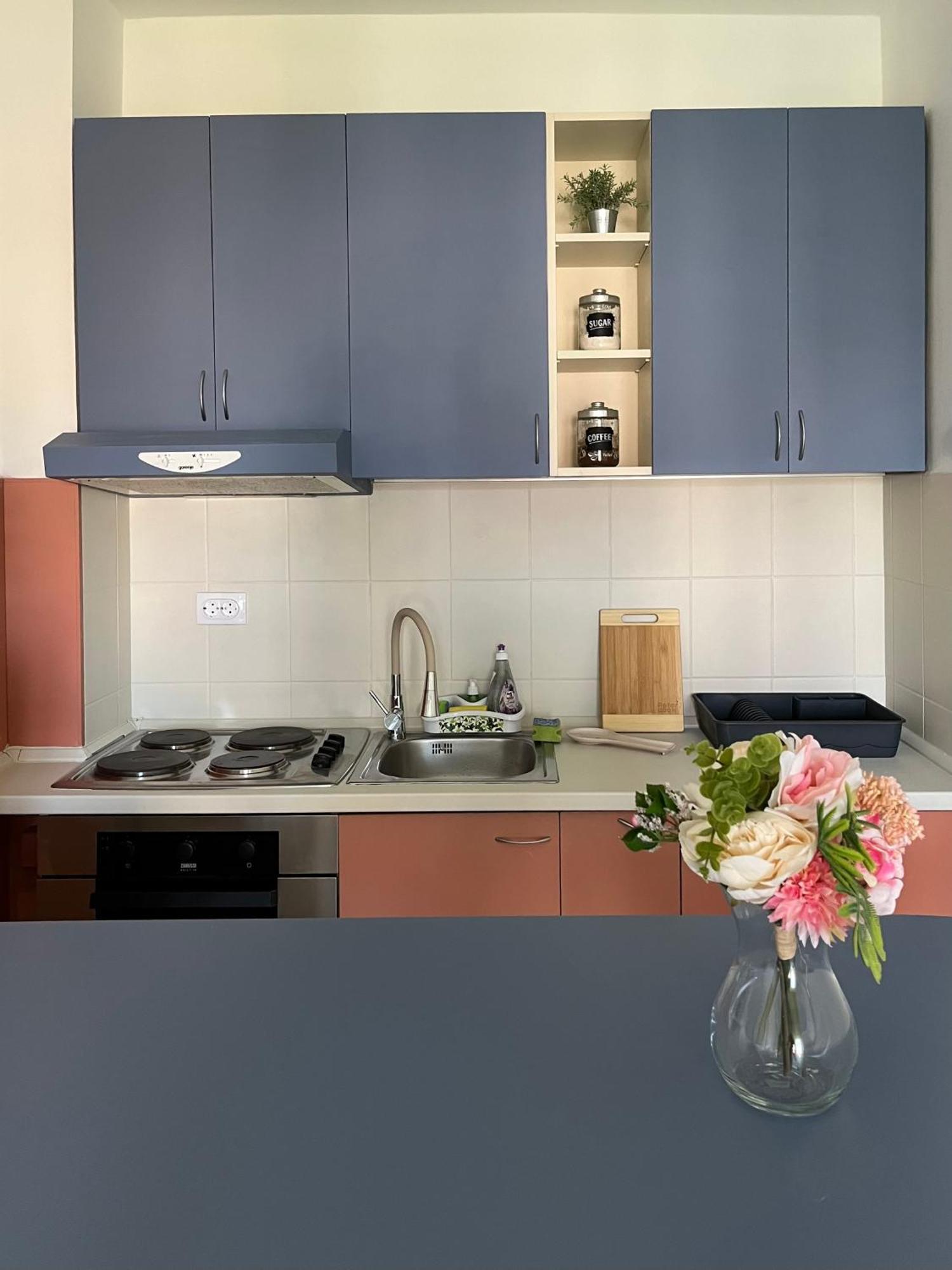 Apartment Vera With Free Garage Νόβι Σαντ Εξωτερικό φωτογραφία