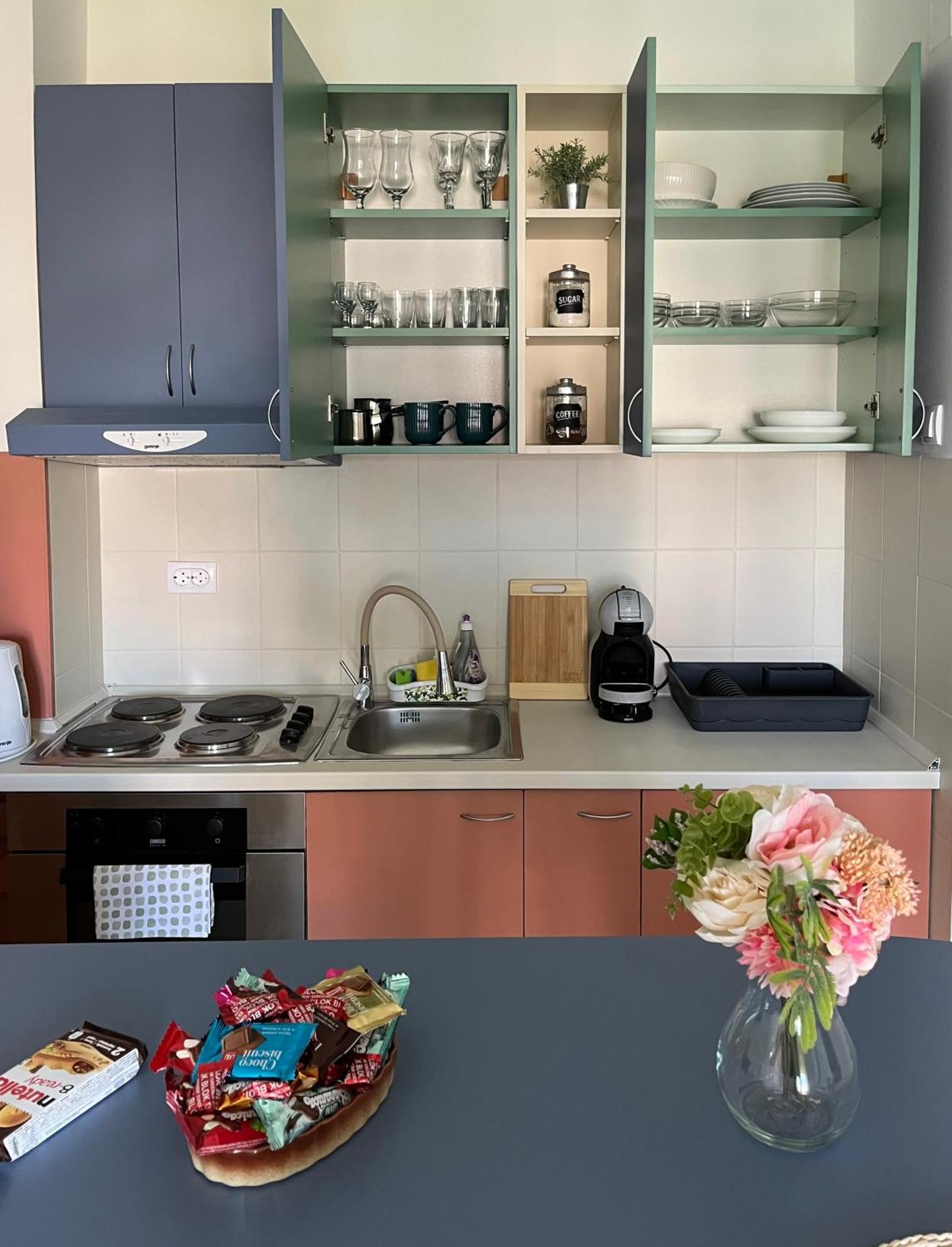 Apartment Vera With Free Garage Νόβι Σαντ Εξωτερικό φωτογραφία
